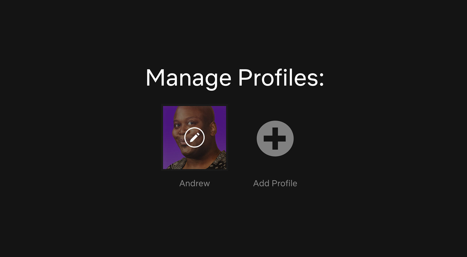 Netflix profiles