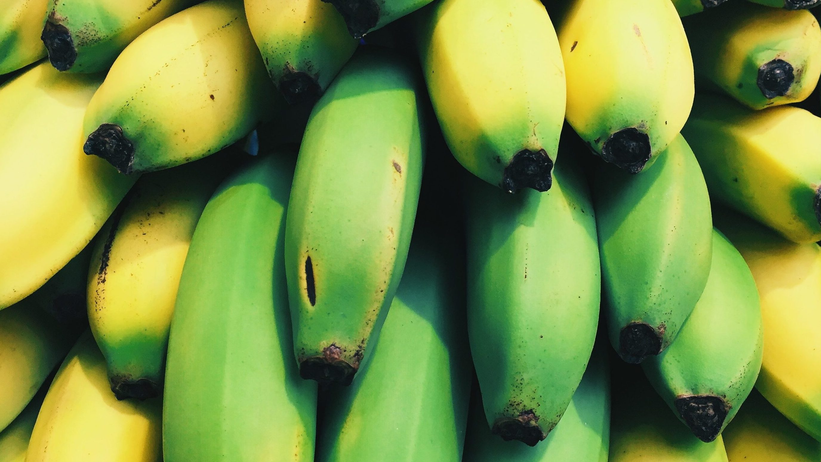Bananas